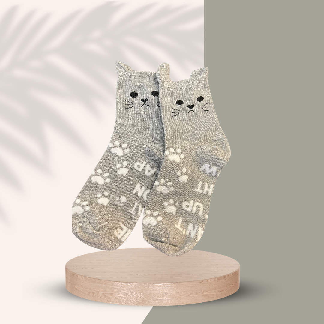 Kitty and Owner Co Gift Box